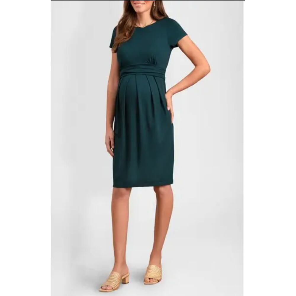 NWT Seraphine Maternity Nursing Dress